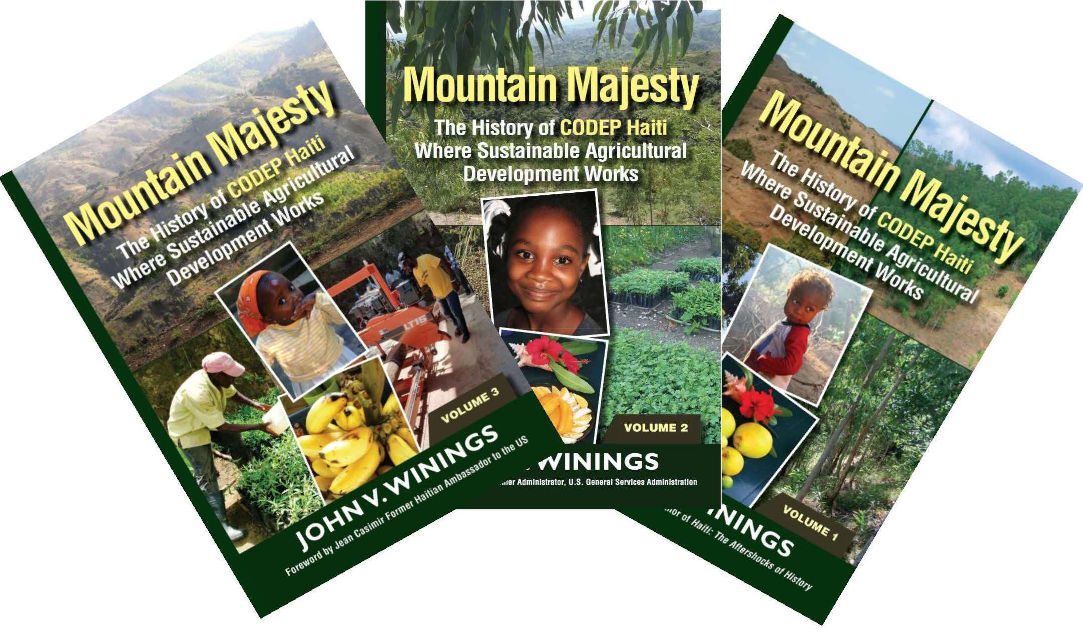 Mountain Majesty By Author John Winings